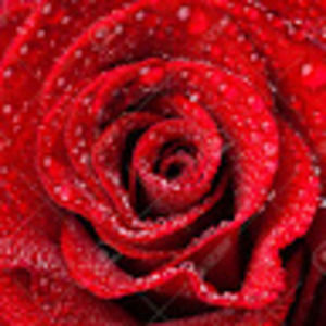 Meet your Posher, Billie